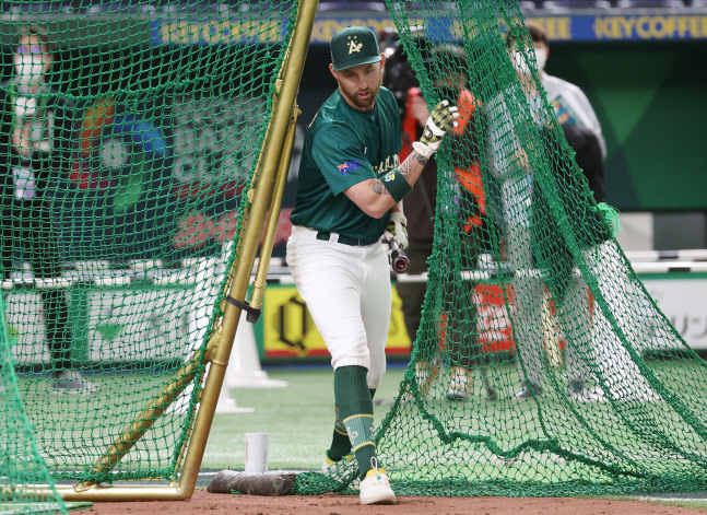 화이트필드 타격 연습