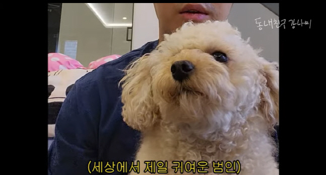 캡처_2023_03_10_22_14_41_227