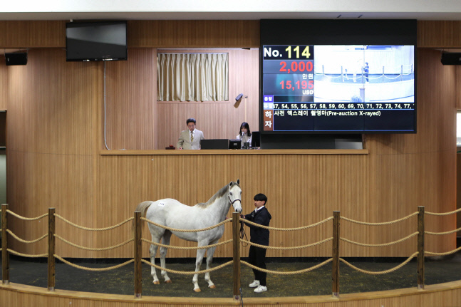2023년 첫 예비경주마 경매, 최고가 1억 3000만원 낙찰