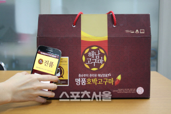 [보도자료]사진1