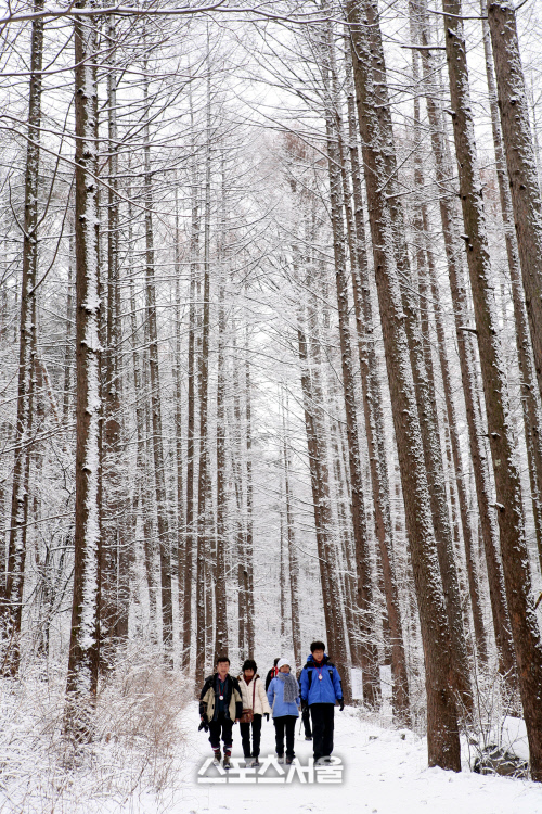양대강 발원지 탐방길 03