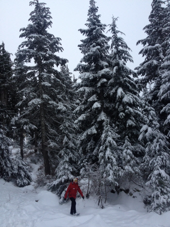 그라우스 마운틴