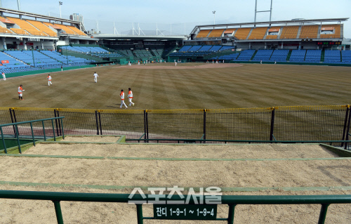 [SS포토] 외야에 신설된 한밭야구장 잔디석