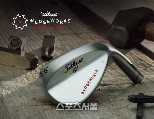 웨지웍스 옵션 확대