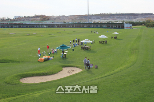 드림골프레인지 천연잔디타석