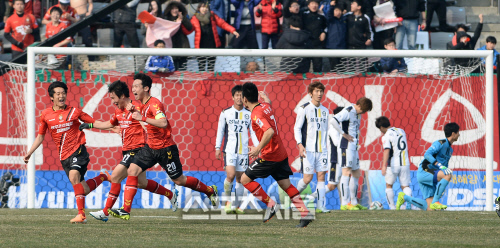 [SS포토]결승골에 환호하는 경남FC 선수들