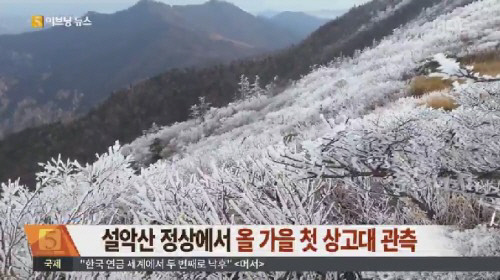 상고대의의미MBC