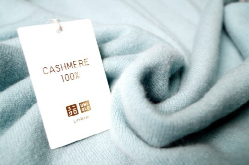 캐시미어뜻유니클로