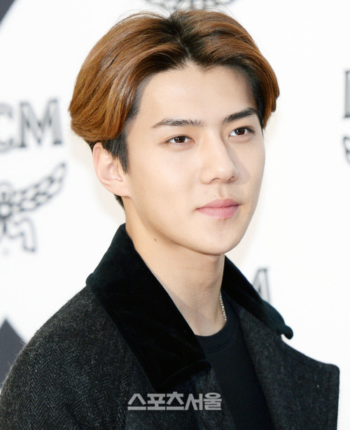 [SS포토] 엑소 세훈 '5대 5 가르마도 잘 어울리는 막내'