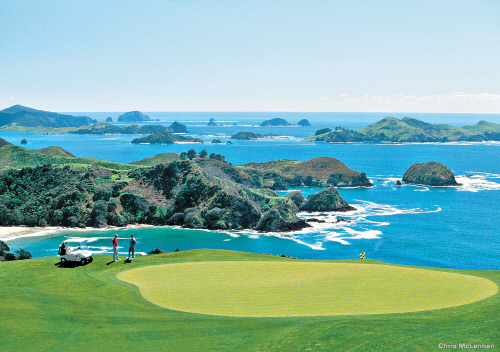 [뉴질랜드_관광청]_카우리_클리프스_저용량