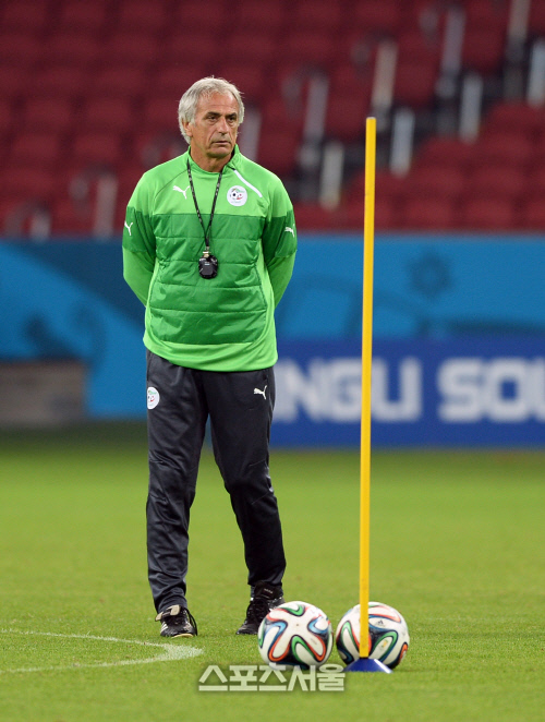 바히드 할리호지치