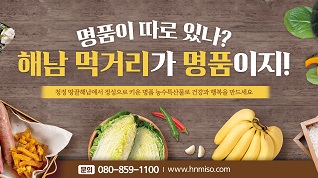 해남군청(260428)