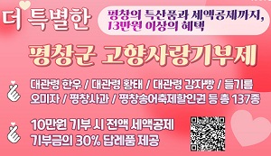 평창군청(260511)