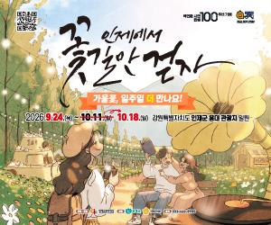 인제군청(261007)