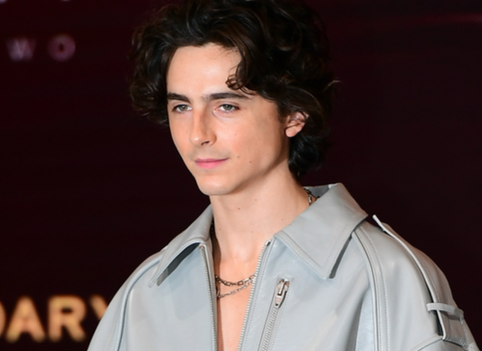 "번식=우리의 존재 이유"...'듄' 티모시 샬라메, 시대착오적 발언에 갑론을박