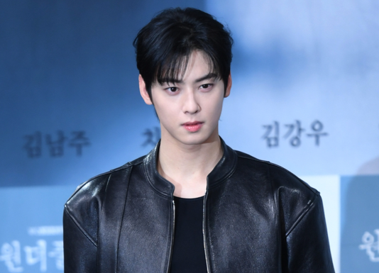 '200억 탈세 논란' 차은우 측, 軍 휴가 복귀→대형 로펌 선임에 "확인불가"