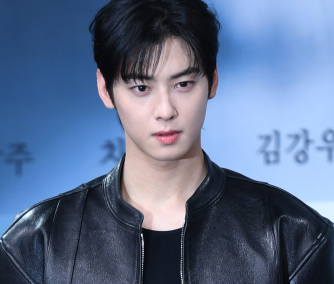 '문제없다' 해명은 불리...前 국세청 조사관의 차은우 대응 조언