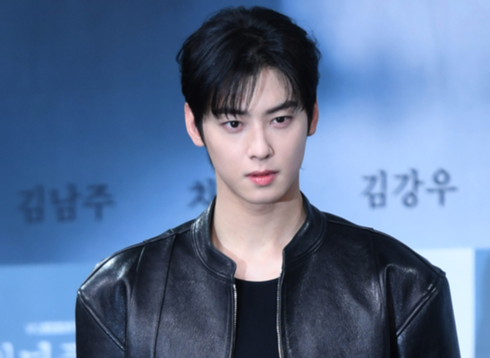 차은우 논란의 이면..."1인 기획사, 진정 탈세인가"