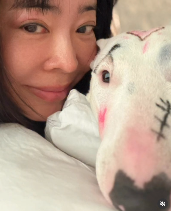 "귀엽다" vs "동물 학대" 이혜영, 반려견 얼굴 '풀메이크업' 낙서 논란